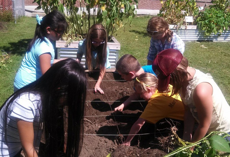 Hanover Street School garden in Lebanon.