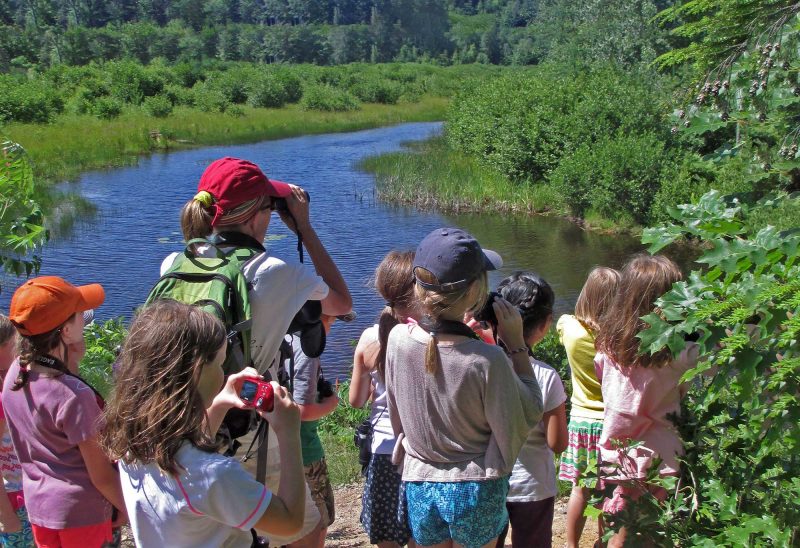 Kids program at Tin Mountain Conservation Center. (Photo courtesy of Tin Mountain Conservation Center.)