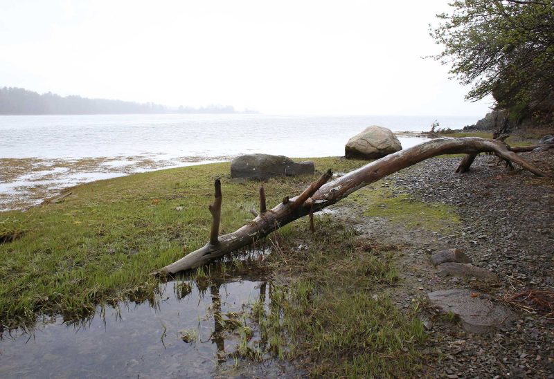 Great Bay. (Photo by Cheryl Senter.)