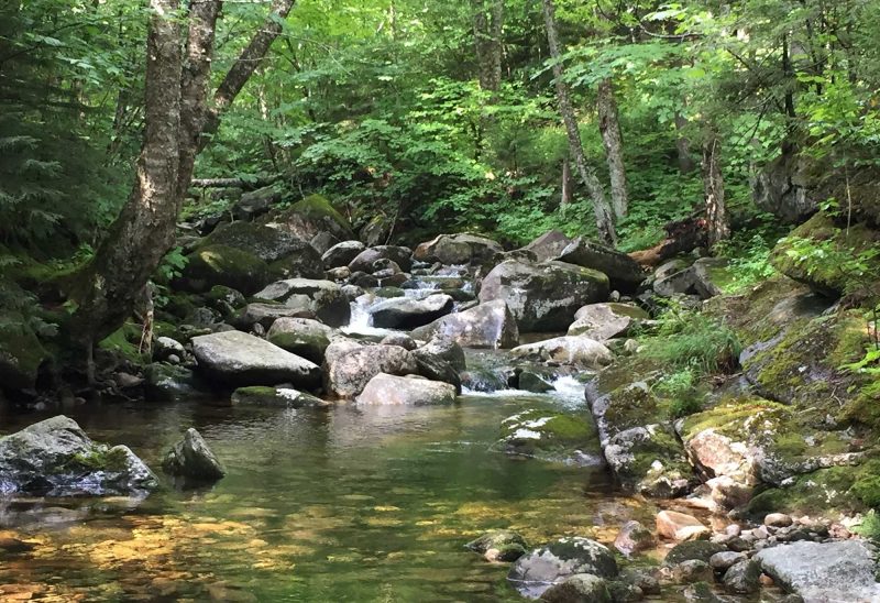 The South Branch Gale River in Bethlehem, NH.