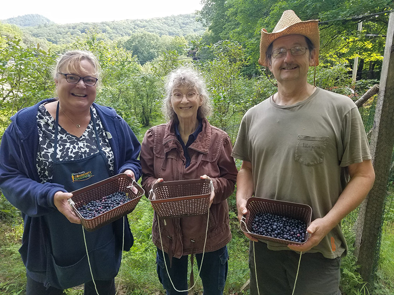 monadnock-community-kitchen-gleaninghp2