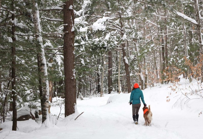 Woman walking her dog on a snowy trail. (Photo courtesy of Trail Finder).